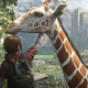 A young girl wearing a backpack reaches out and pets a giraffe in a desolate, overgrown city.